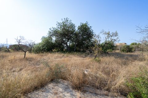 Finca i Tortosa, Tarragona, Tortosa - € 37.000 | Ref: 731 - foto 7