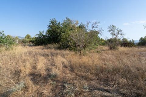 Finca i Tortosa, Tarragona, Tortosa - € 37.000 | Ref: 731 - foto 6