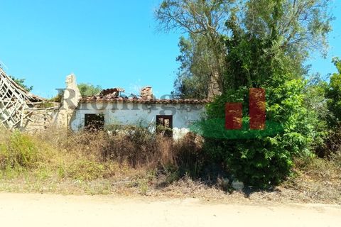 Villa i Rio Maior, Santarem, Rio Maior - € 67.000 | Ref: 613.22 - foto 3