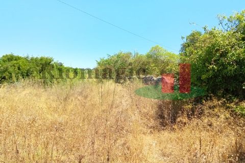 Villa i Rio Maior, Santarem, Rio Maior - € 67.000 | Ref: 613.22 - foto 5