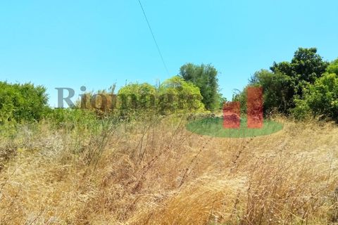 Villa i Rio Maior, Santarem, Rio Maior - € 67.000 | Ref: 613.22 - foto 6