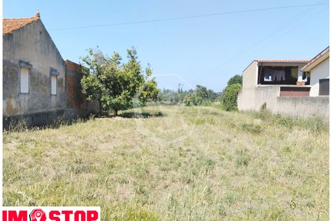 Helårsgrund i Oliveira do Bairro, Aveiro, Oliveira do Bairro - € 50.000 | Ref: 33203 - foto 2