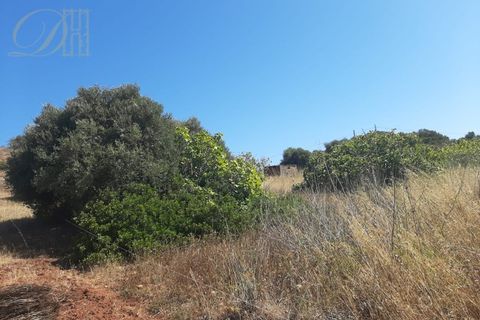 Helårsgrund i Sagres, Faro, Sagres - € 59.000 | Ref: DH21068 - foto 4