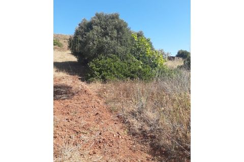 Helårsgrund i Sagres, Faro, Sagres - € 59.000 | Ref: DH21068 - foto 5