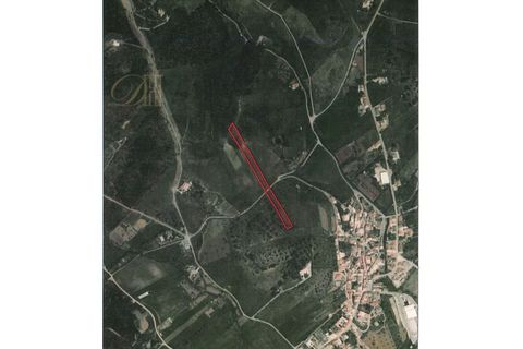 Helårsgrund i Sagres, Faro, Sagres - € 59.000 | Ref: DH21068 - foto 3