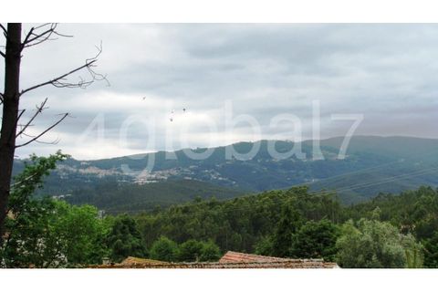 Helårsgrund i Sever do Vouga, Aveiro, Sever do Vouga - € 23.000 | Ref: TER_0116261 - foto 5