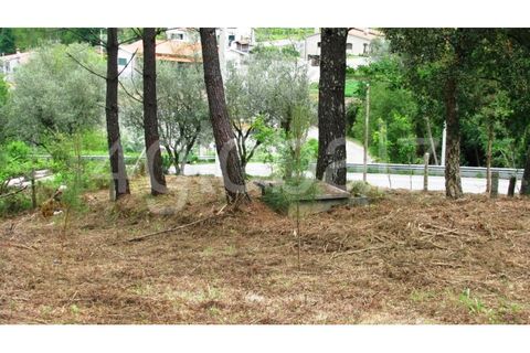 Helårsgrund i Sever do Vouga, Aveiro, Sever do Vouga - € 23.000 | Ref: TER_0116261 - foto 6