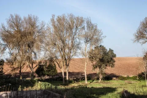 Farm i Cuba, Beja, Cuba - € 3.000.000 | Ref: MAS_52 - foto 24
