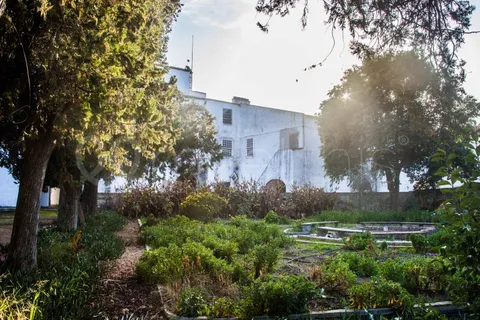 Farm i Cuba, Beja, Cuba - € 3.000.000 | Ref: MAS_52 - foto 26