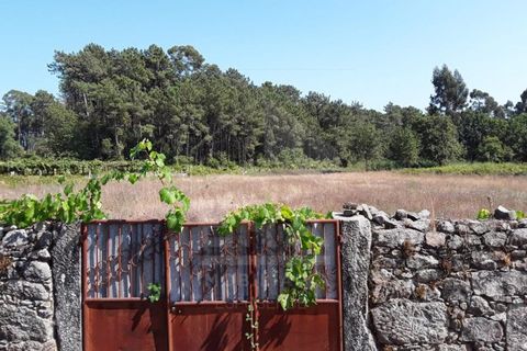 Helårsgrund i Esposende, Braga, Esposende - € 234.000 | Ref: 039220113 - foto 3