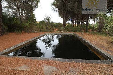 Helårsgrund i Tomar, Santarem, Tomar - € 70.000 | Ref: Tr91 - foto 2