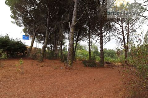 Helårsgrund i Tomar, Santarem, Tomar - € 70.000 | Ref: Tr91 - foto 3