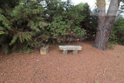 Helårsgrund i Tomar, Santarem, Tomar - € 70.000 | Ref: Tr91 - foto 4