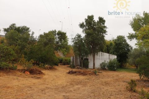 Helårsgrund i Tomar, Santarem, Tomar - € 70.000 | Ref: Tr91 - foto 12