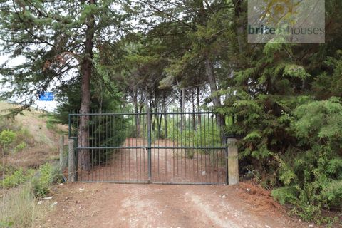 Helårsgrund i Tomar, Santarem, Tomar - € 70.000 | Ref: Tr91 - foto 14