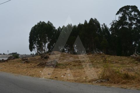 Helårsgrund i Ovar, Aveiro, Ovar - € 265.000 | Ref: 1060707/22 AL - foto 2