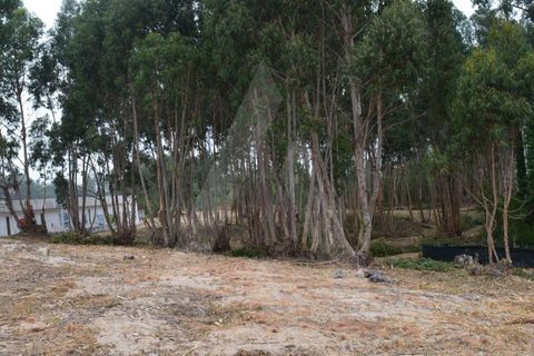 Helårsgrund i Ovar, Aveiro, Ovar - € 265.000 | Ref: 1060707/22 AL - foto 5