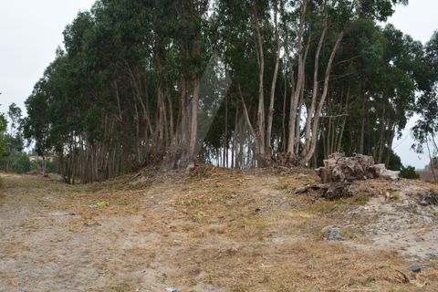 Helårsgrund i Ovar, Aveiro, Ovar - € 265.000 | Ref: 1060707/22 AL - foto 14