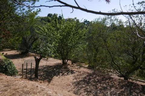 Villa a Seborga, Imperia, Seborga - € 395.000 | Ref: 7284194 - foto 3