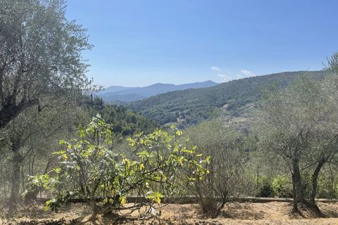 Villa a Seborga, Imperia, Seborga - € 395.000 | Ref: 7284194 - foto 36