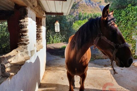 Villa a Orgiva, Granada, Orgiva - € 450.000 | Ref: J624 - foto 23