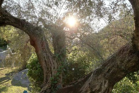 Villa a Orgiva, Granada, Orgiva - € 450.000 | Ref: J624 - foto 27