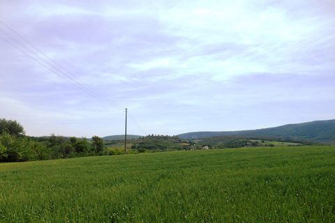 Villa a Monteriggioni, Siena, Monteriggioni - € 1.800.000 | Ref: v2984-x - foto 18