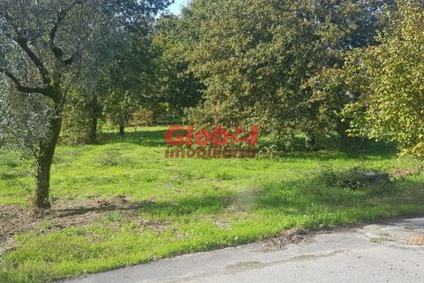 Helårsgrund i Viseu, Viseu, Viseu - € 105.000 | Ref: 189222263 - foto 3