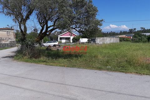 Terra a Nelas, Viseu, Nelas - € 60.000 | Ref: 189222267 - foto 3