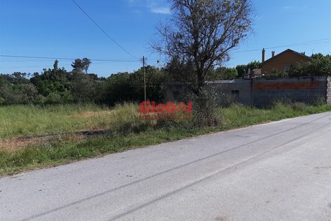 Terra a Nelas, Viseu, Nelas - € 60.000 | Ref: 189222267 - foto 4