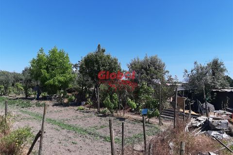 Helårsgrund i Nelas, Viseu, Nelas - € 60.000 | Ref: 189222268 - foto 2