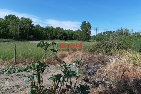 Helårsgrund i Nelas, Viseu, Nelas - € 60.000 | Ref: 189222268 - foto 3