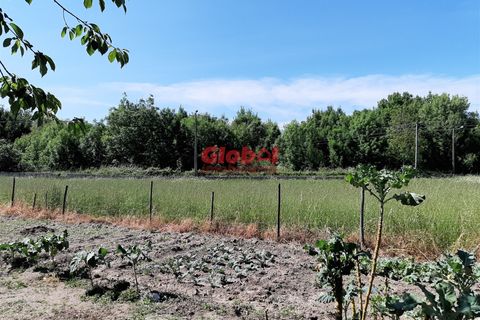 Helårsgrund i Nelas, Viseu, Nelas - € 60.000 | Ref: 189222268 - foto 4