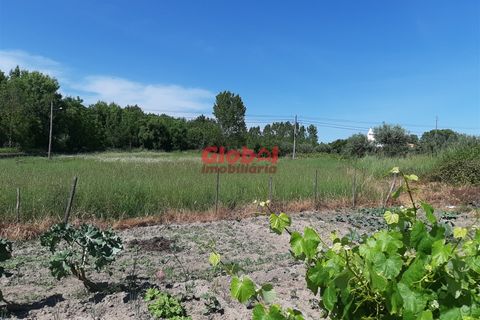 Helårsgrund i Nelas, Viseu, Nelas - € 60.000 | Ref: 189222268 - foto 5