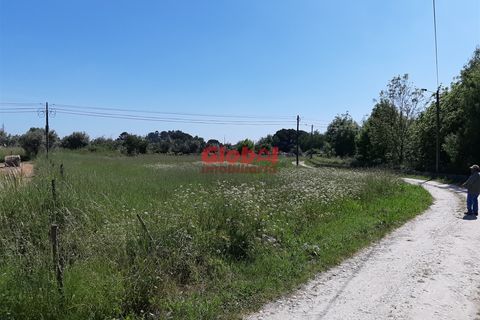 Helårsgrund i Nelas, Viseu, Nelas - € 60.000 | Ref: 189222268 - foto 6