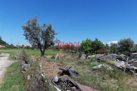Helårsgrund i Nelas, Viseu, Nelas - € 60.000 | Ref: 189222268 - foto 7