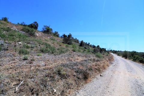 Terra a Algoz, Faro, Algoz - € 750.000 | Ref: STC2479 - foto 3