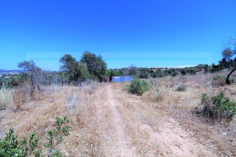 Terra a Algoz, Faro, Algoz - € 750.000 | Ref: STC2479 - foto 4
