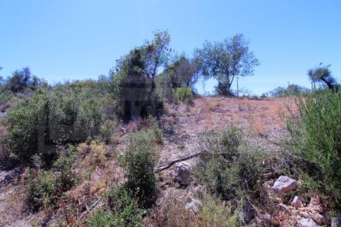 Terra a Algoz, Faro, Algoz - € 750.000 | Ref: STC2479 - foto 5