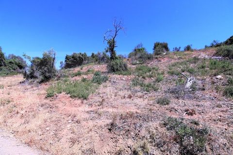 Terra a Algoz, Faro, Algoz - € 750.000 | Ref: STC2479 - foto 7