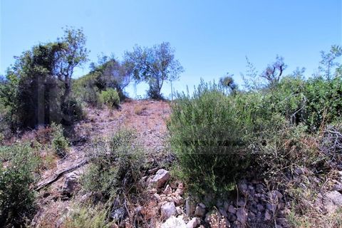 Terra a Algoz, Faro, Algoz - € 750.000 | Ref: STC2479 - foto 8