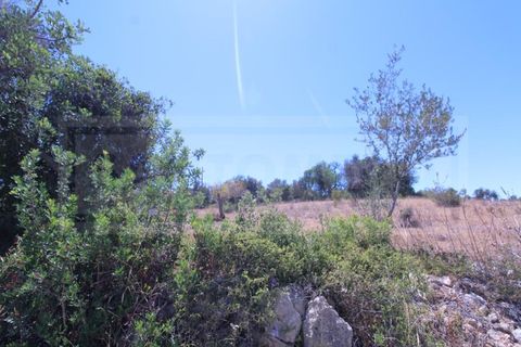 Terra a Algoz, Faro, Algoz - € 750.000 | Ref: STC2479 - foto 9