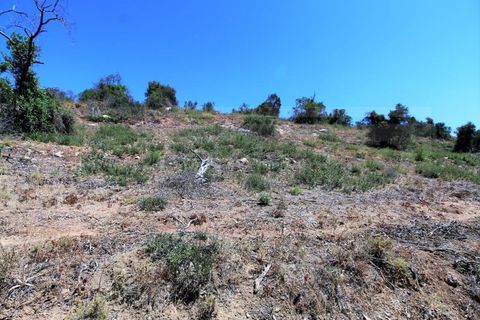 Terra a Algoz, Faro, Algoz - € 750.000 | Ref: STC2479 - foto 13