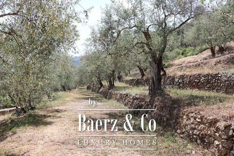 Villa a Dolceacqua, Imperia, Dolceacqua - € 1.390.000 | Ref: le-45019 - foto 41