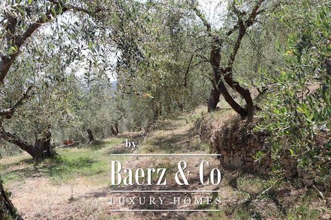 Villa a Dolceacqua, Imperia, Dolceacqua - € 1.390.000 | Ref: le-45019 - foto 43