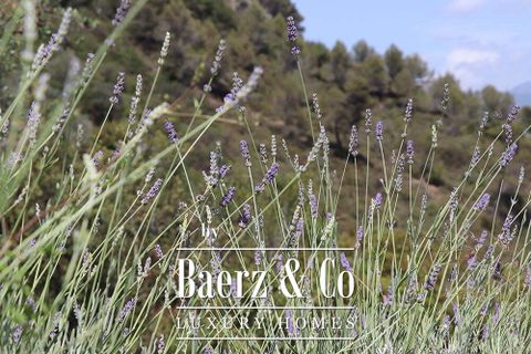 Villa a Dolceacqua, Imperia, Dolceacqua - € 1.390.000 | Ref: le-45019 - foto 45