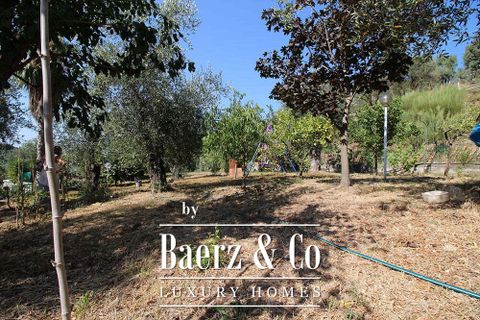 Villa i Vallebona, Imperia, Vallebona - € 950.000 | Ref: imp-42058 - foto 19