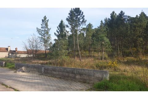 Helårsgrund i Oliveira do Bairro, Aveiro, Oliveira do Bairro - € 60.000 | Ref: AV22/032 - foto 1