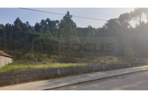 Helårsgrund i Oliveira do Bairro, Aveiro, Oliveira do Bairro - € 60.000 | Ref: AV22/032 - foto 2