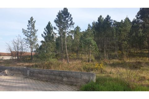 Helårsgrund i Oliveira do Bairro, Aveiro, Oliveira do Bairro - € 60.000 | Ref: AV22/032 - foto 3
